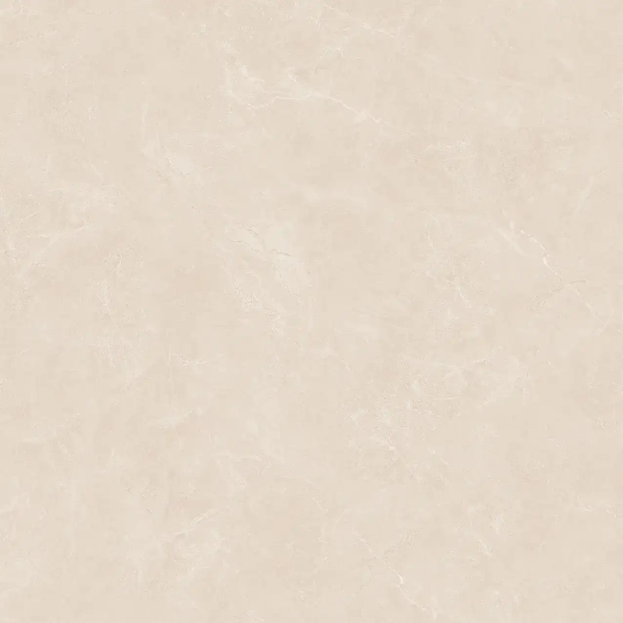 VA25-P101003