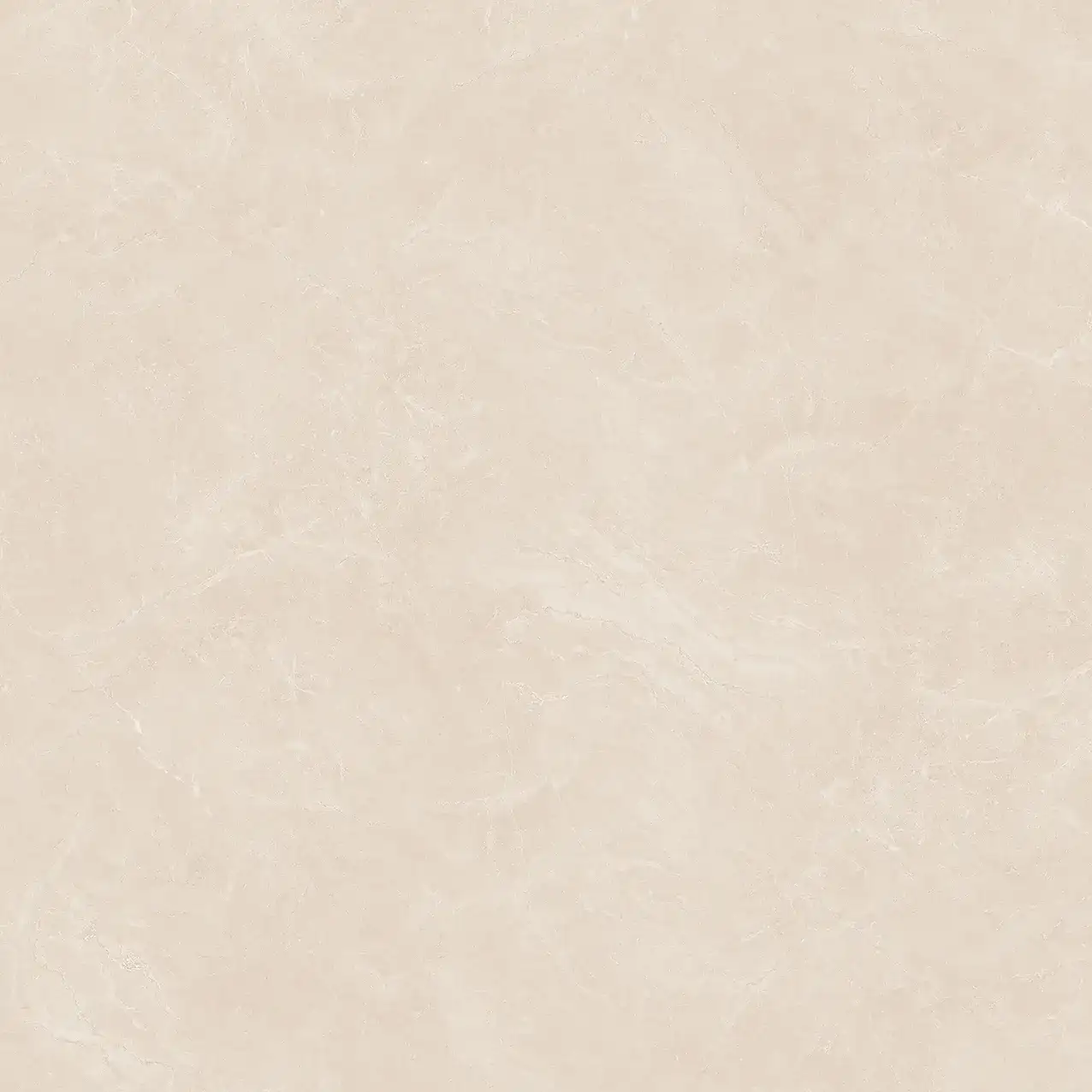 VA25-P101003