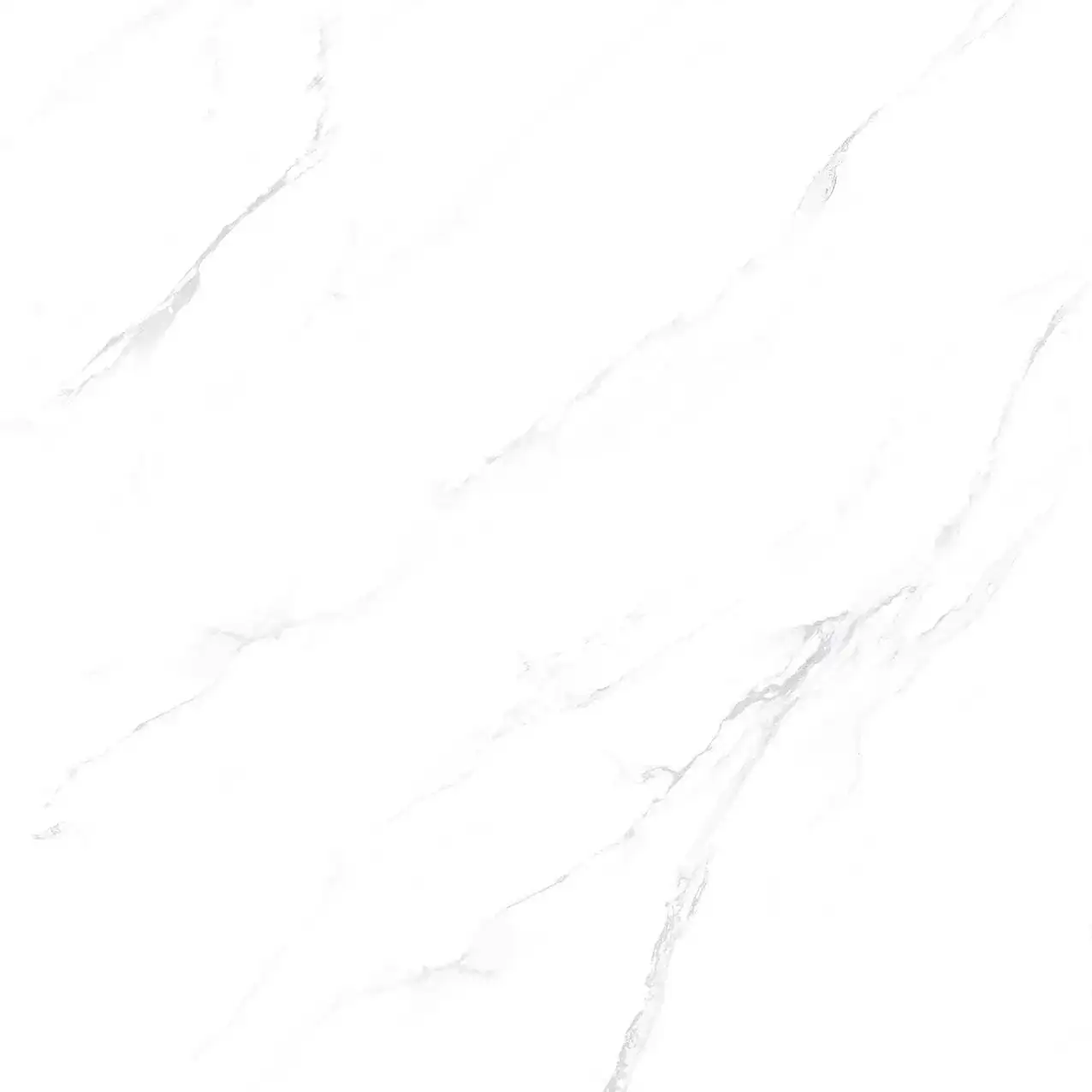 VHP-GP101001
