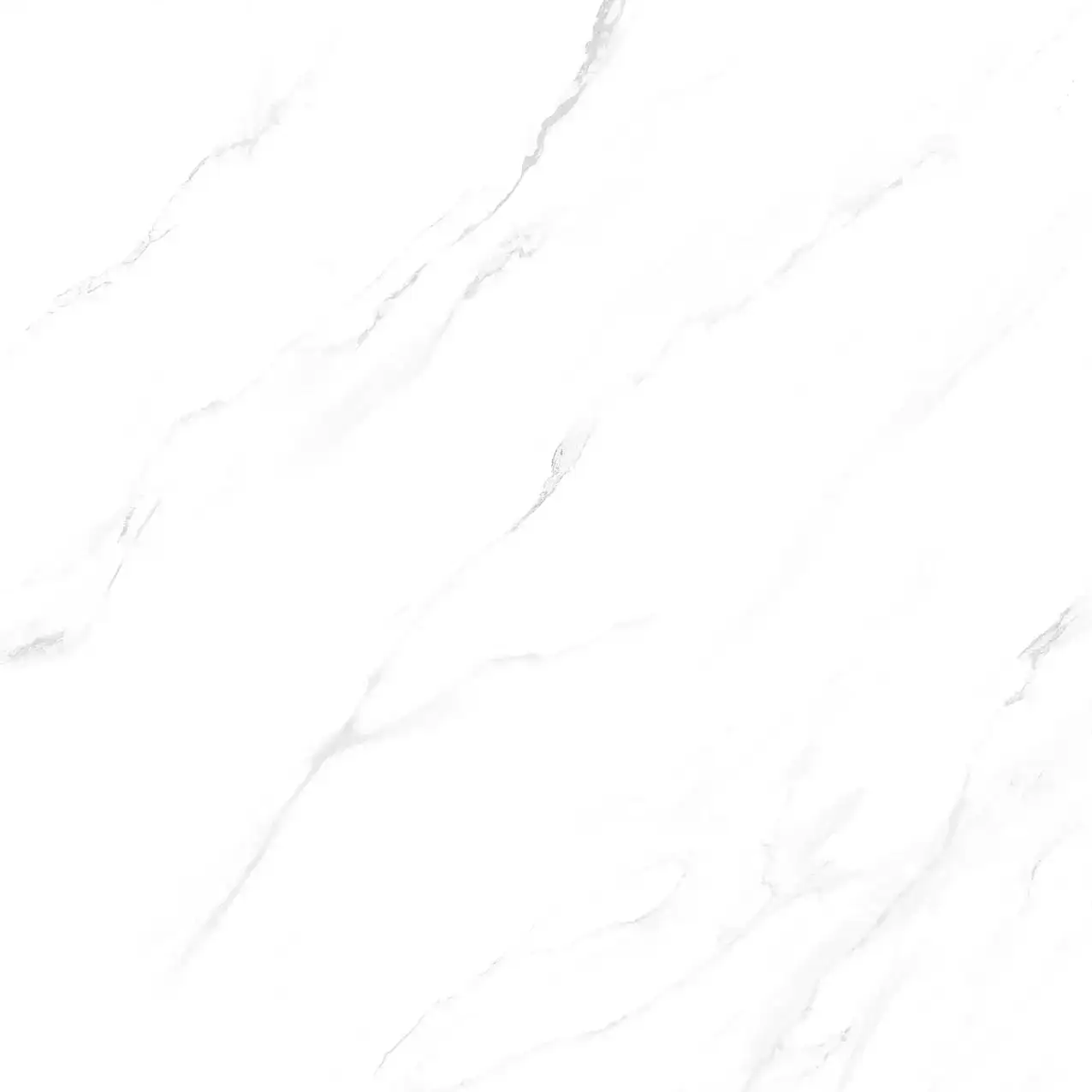 VHP-GP101001