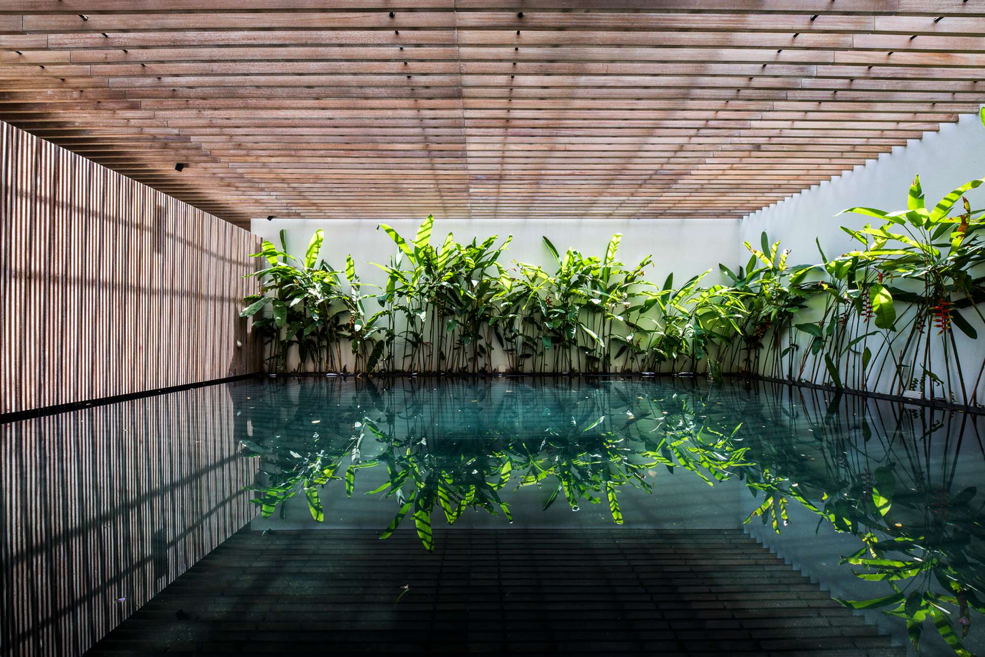 skyhouse11.jpg