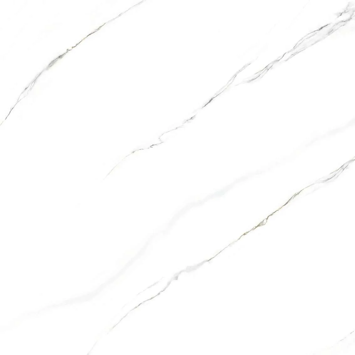 CL1-P121201
