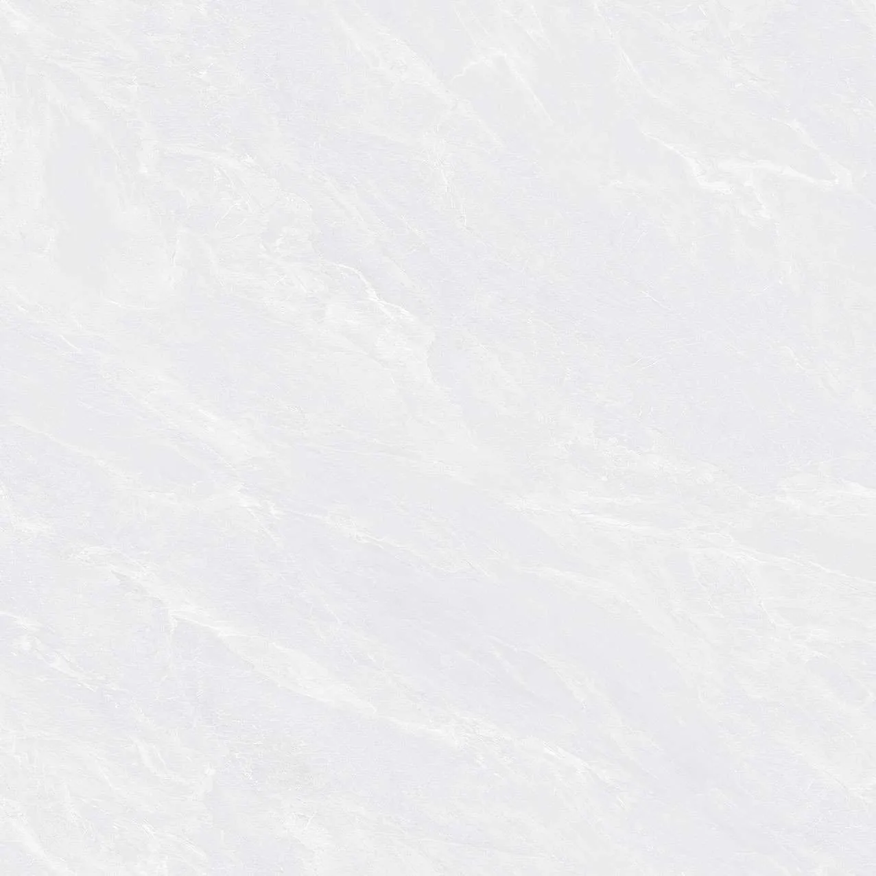 CL2-P121201