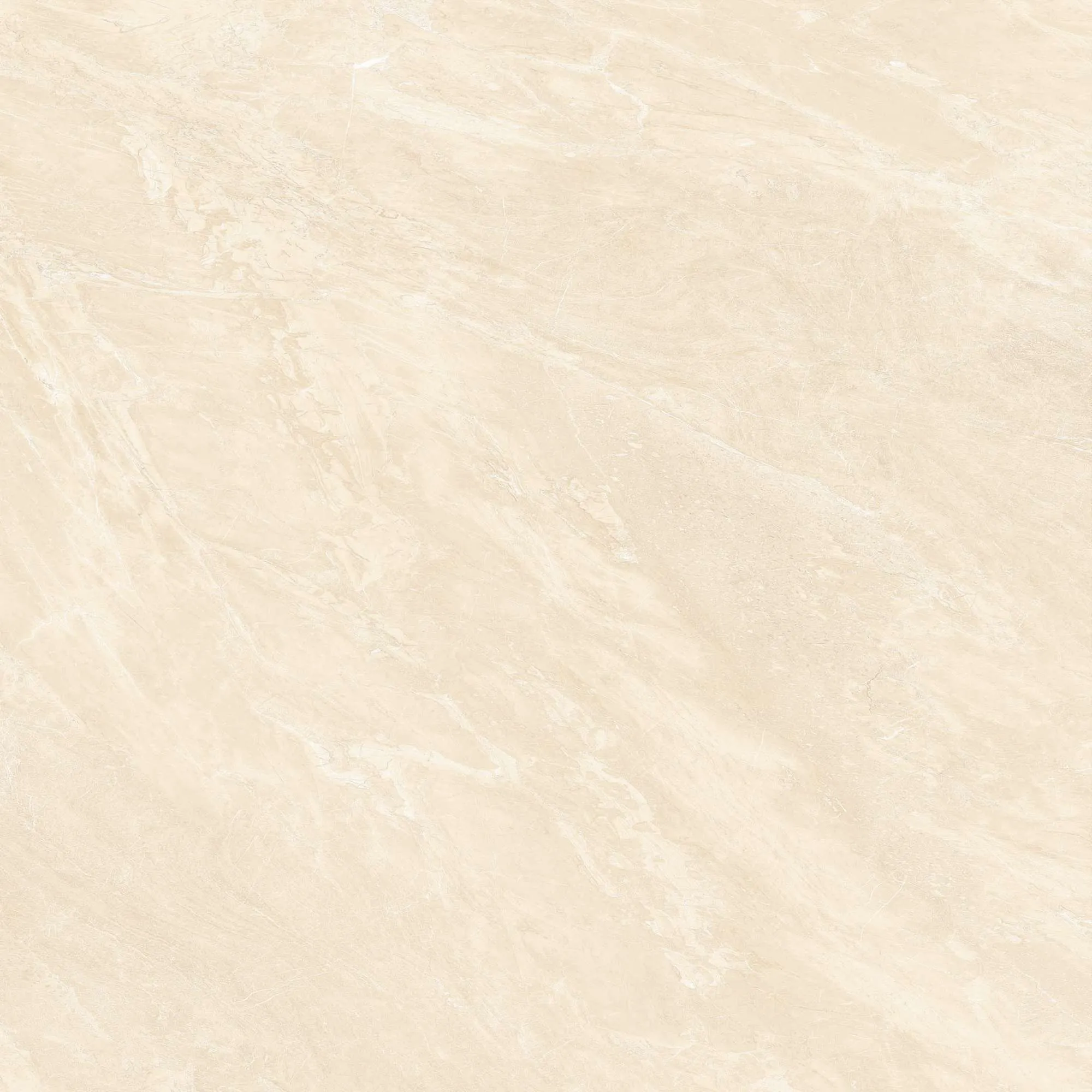 CL2-P121204