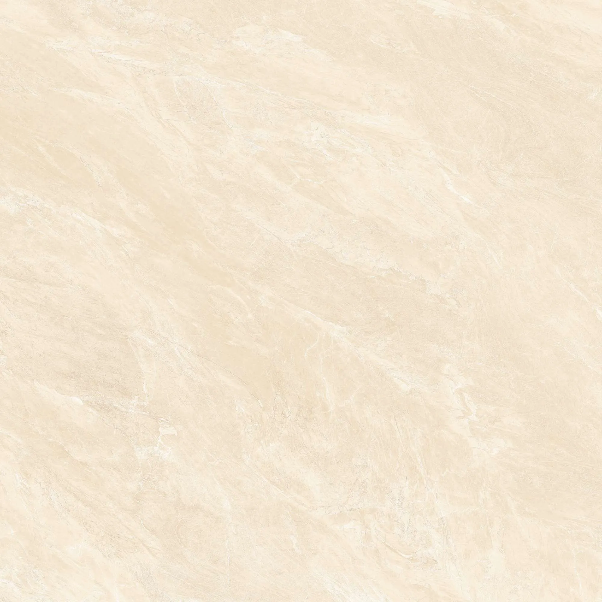 CL2-P121204