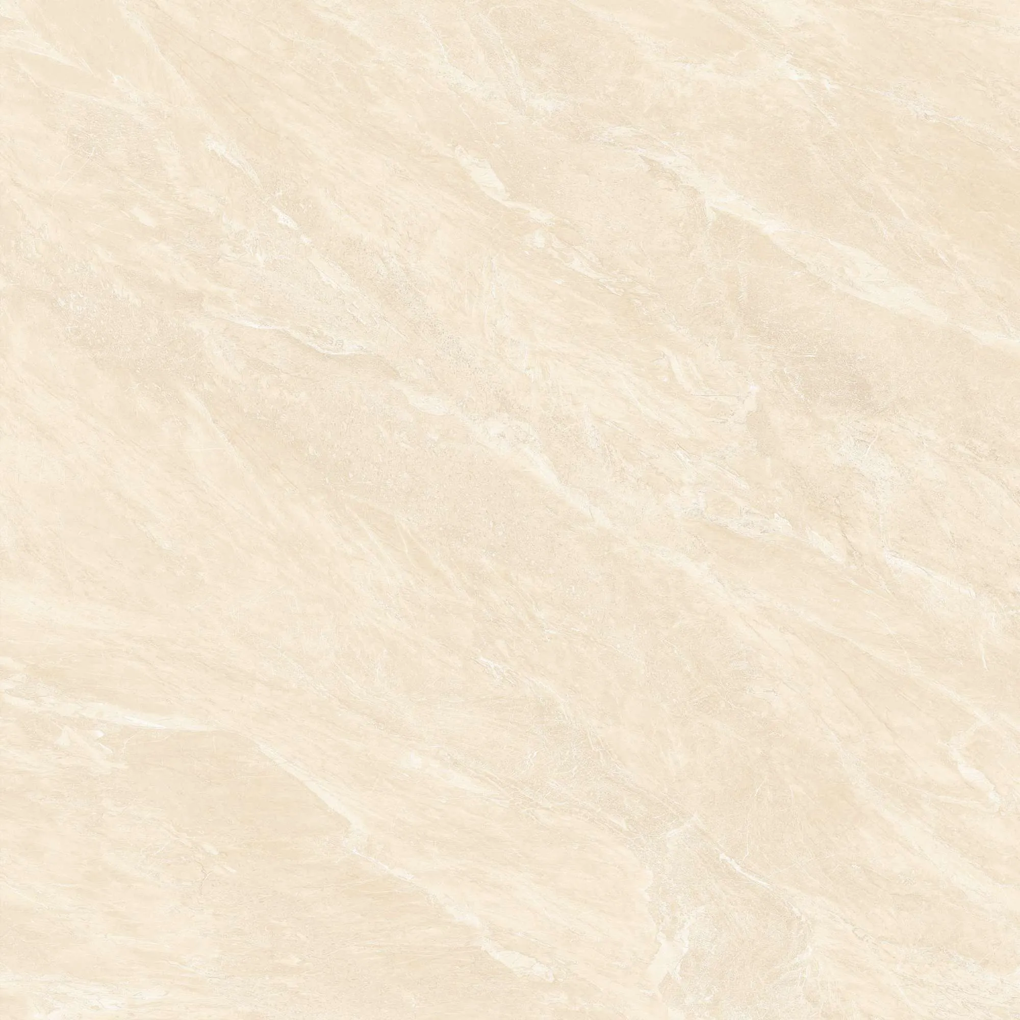 CL2-P121204