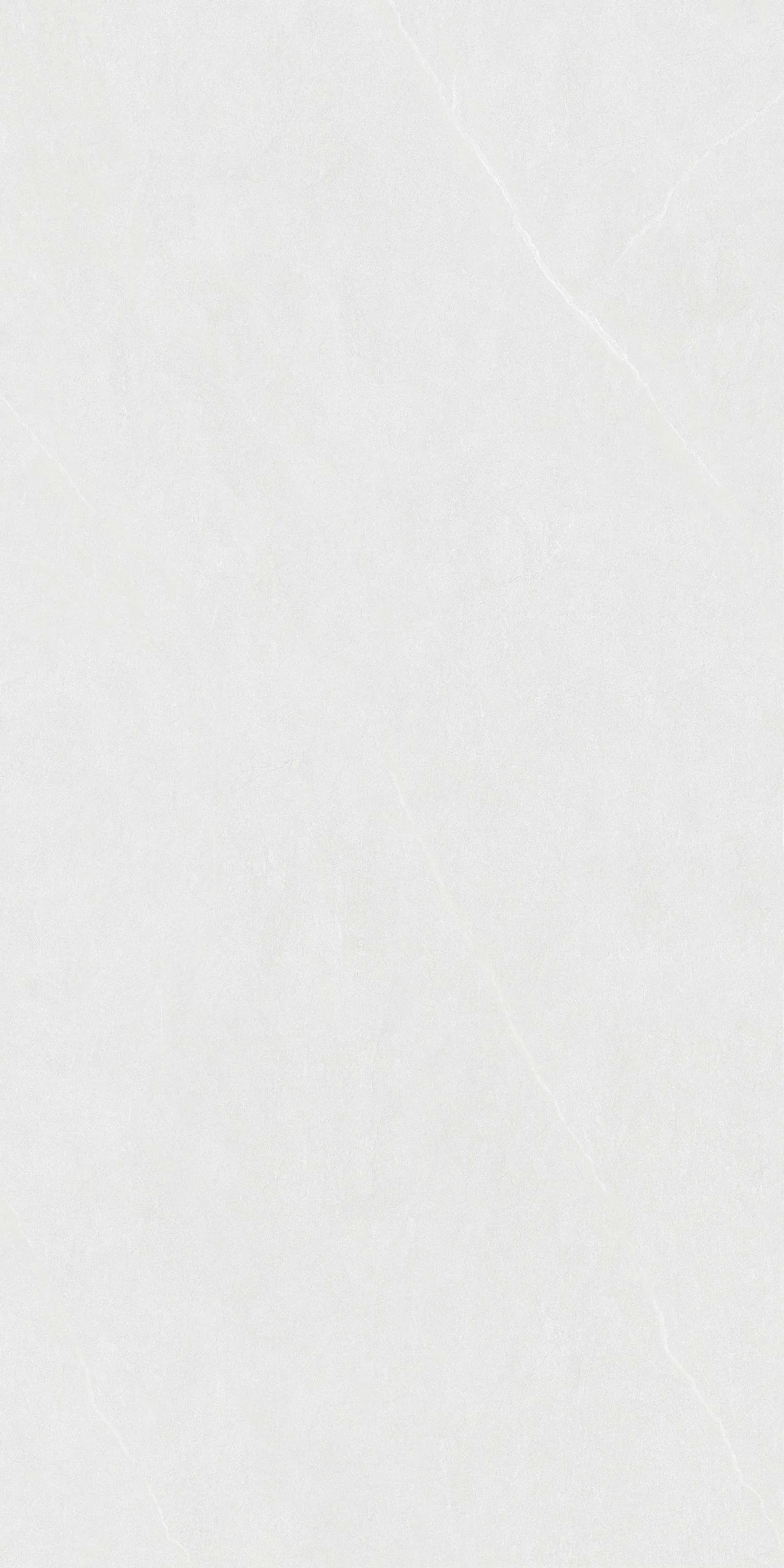 CL-CE3619