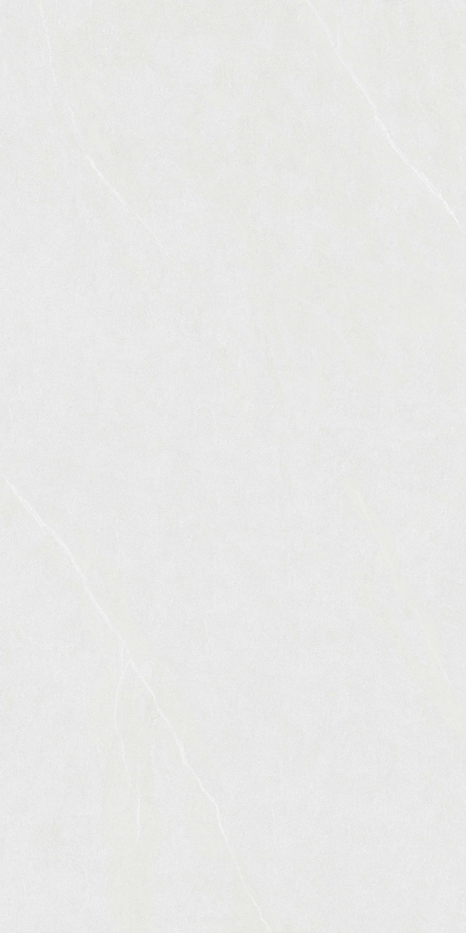 CL-CE3619