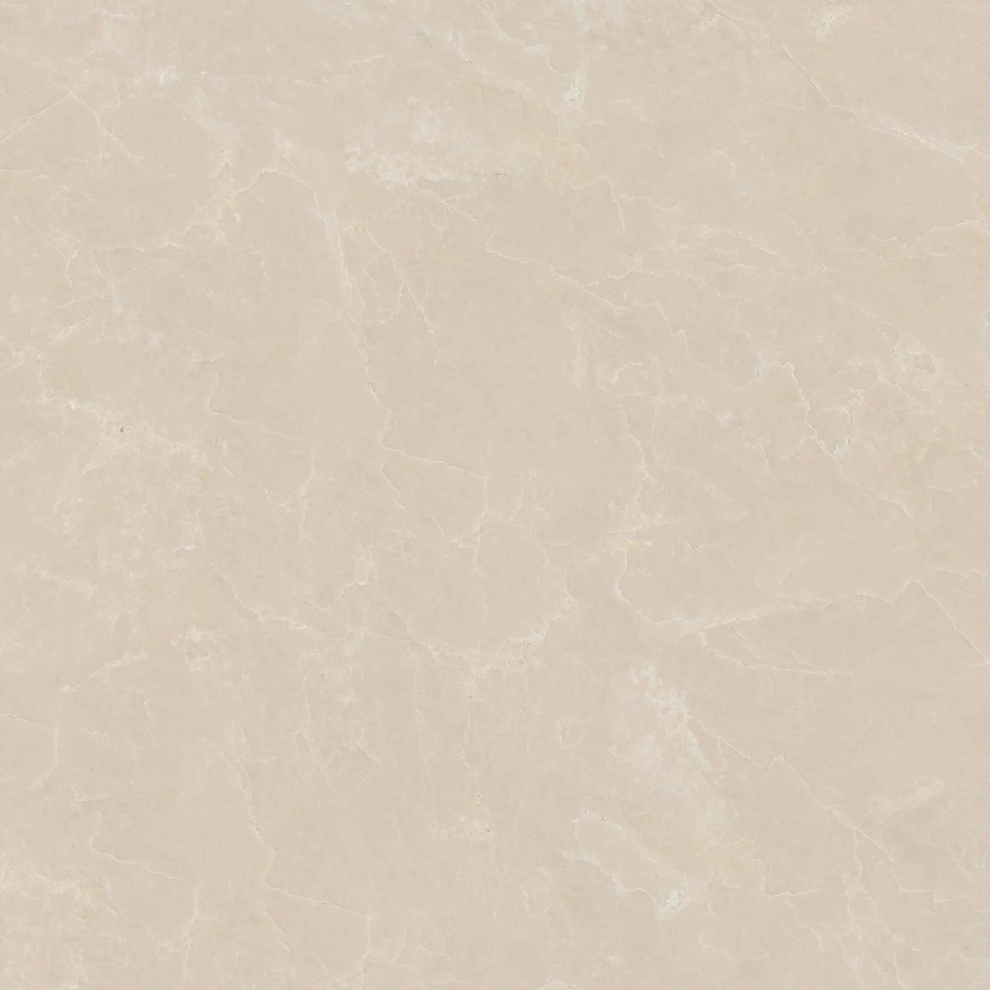 CL-CE503