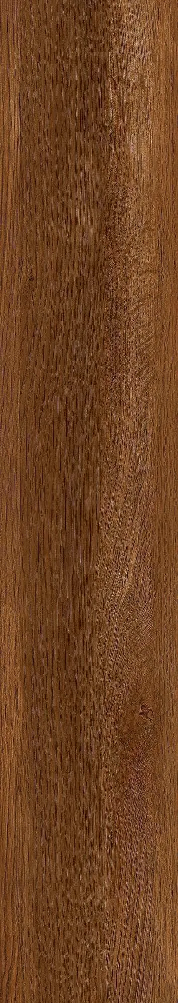 CL-GK15901