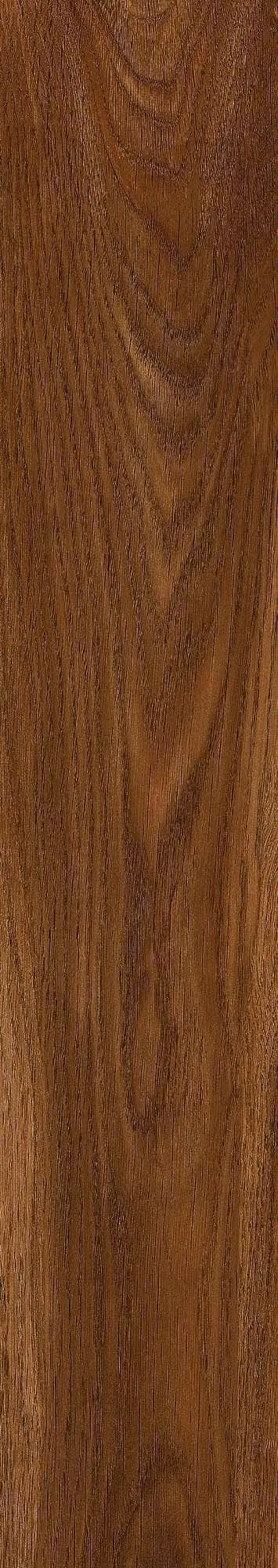 CL-GK15901