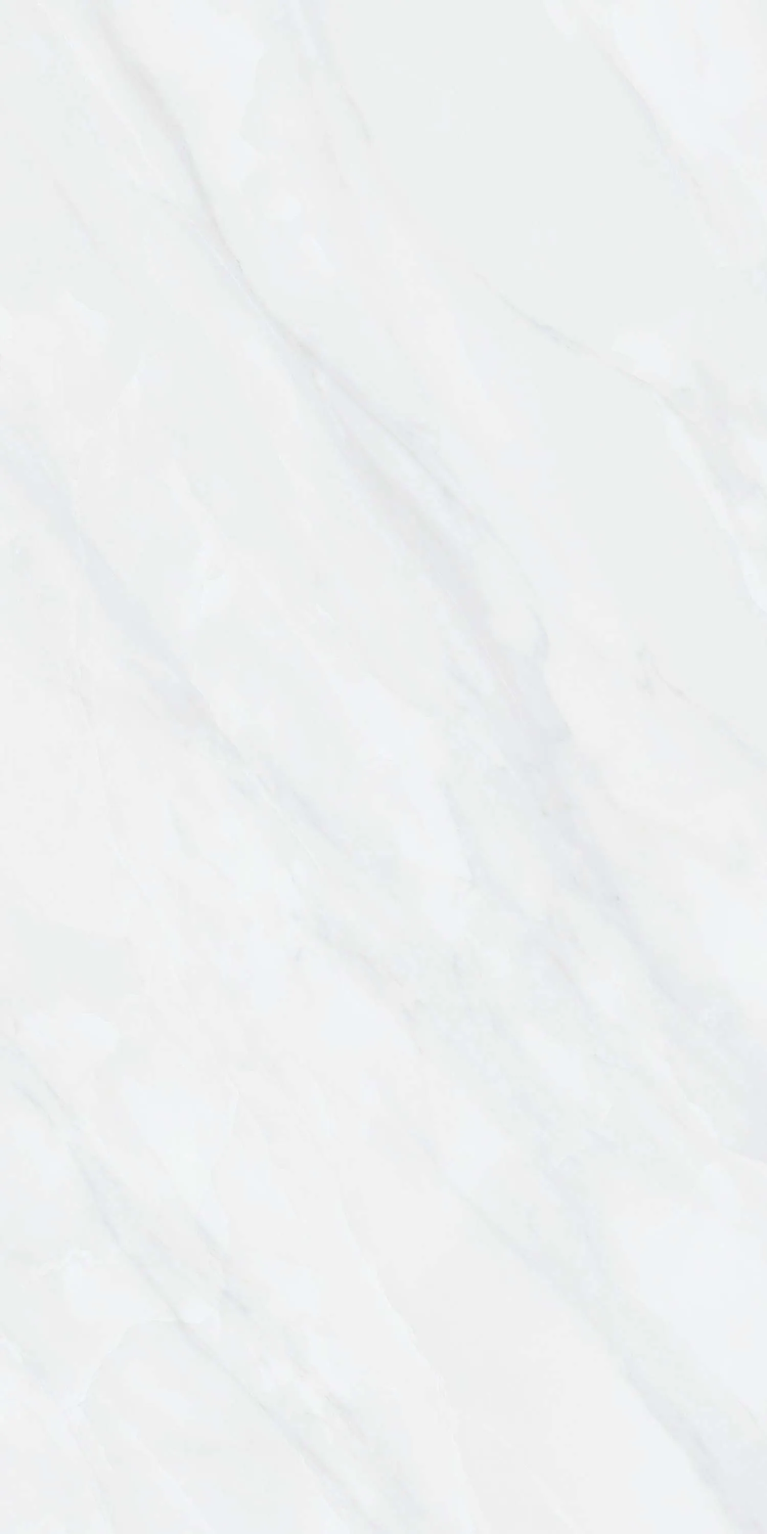 CL-SM3603