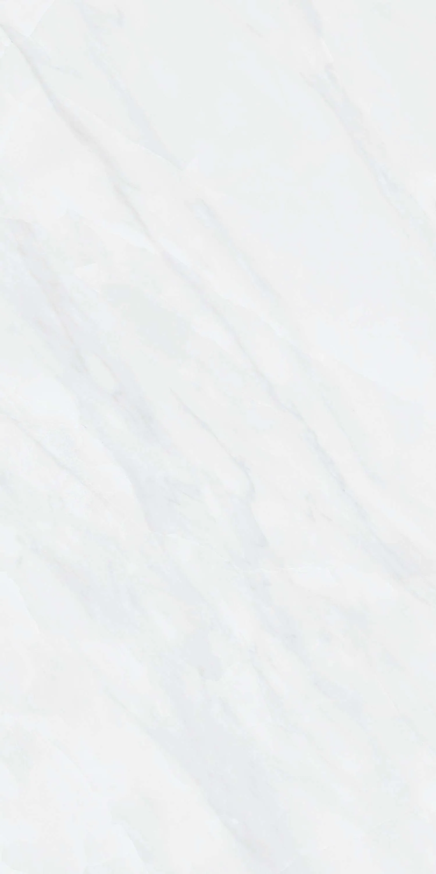CL-SM3603