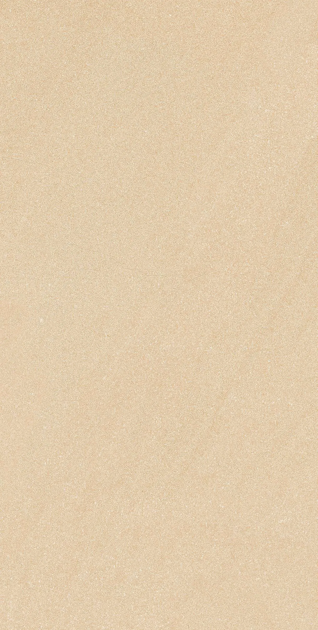 CL-ST3602