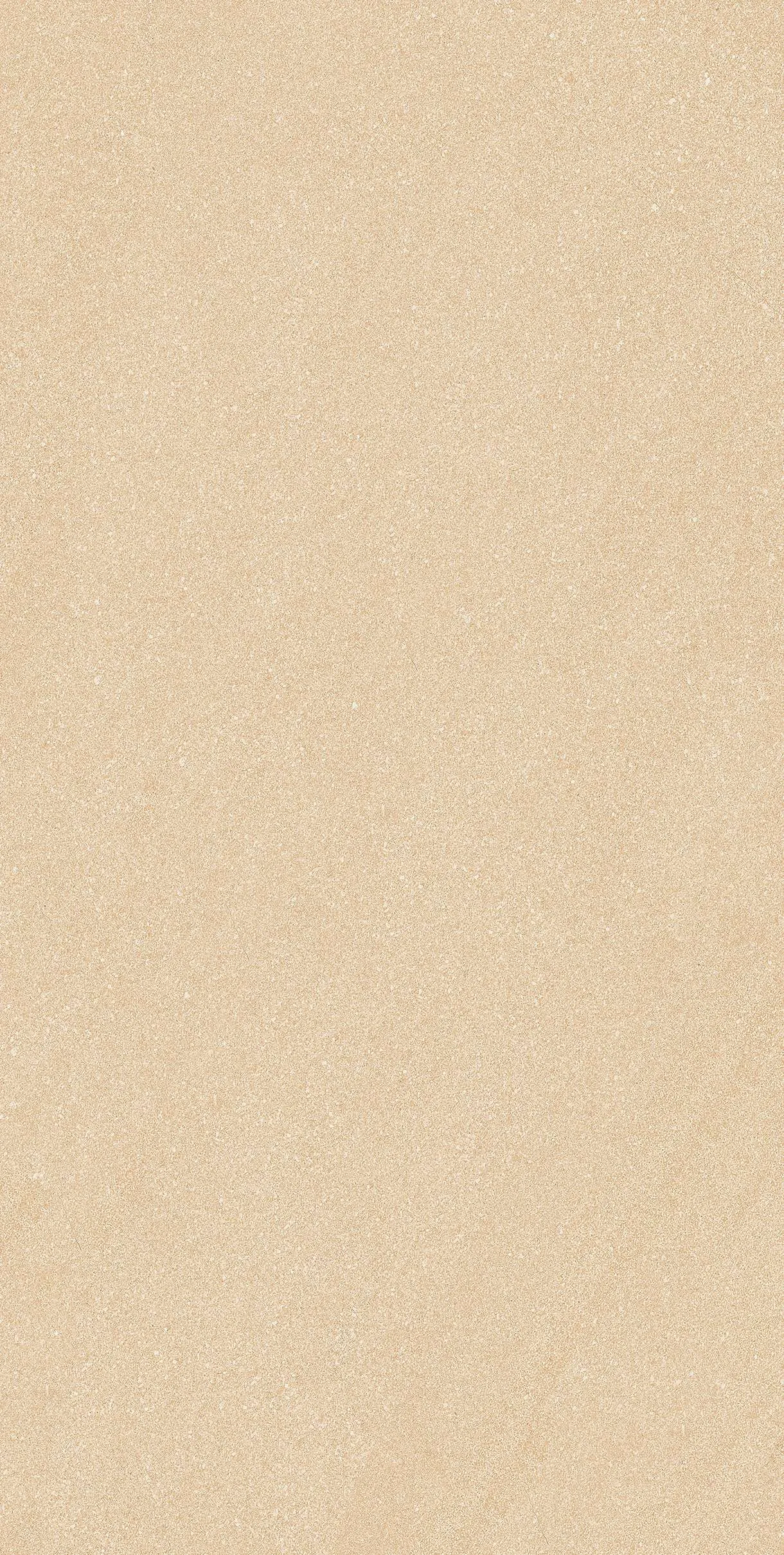CL-ST3602