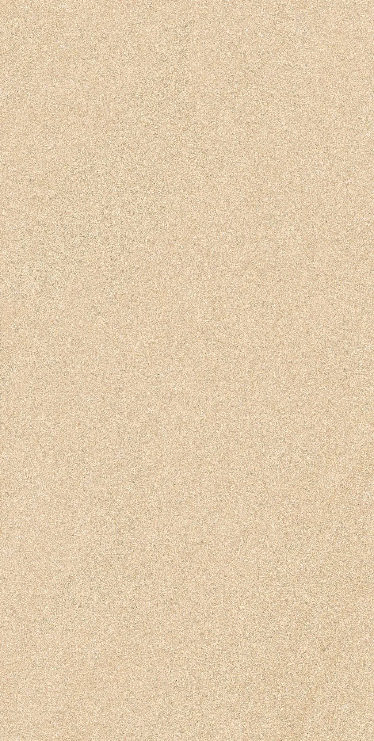 CL-ST3602