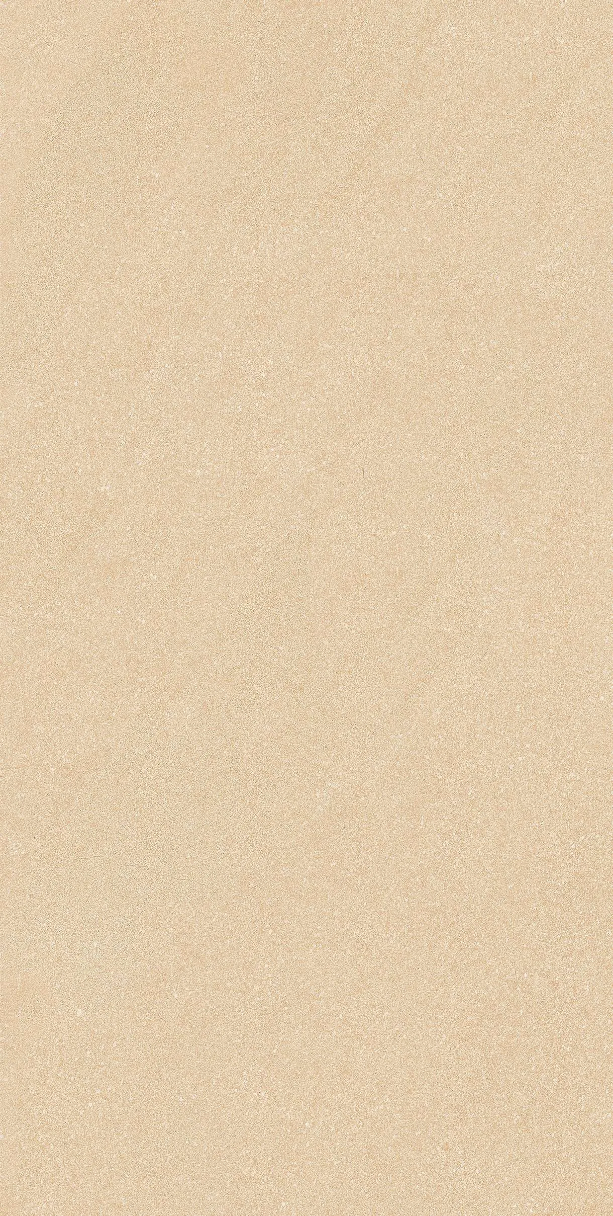 CL-ST3602
