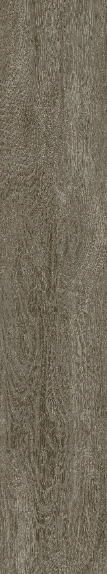 CL-GT15804