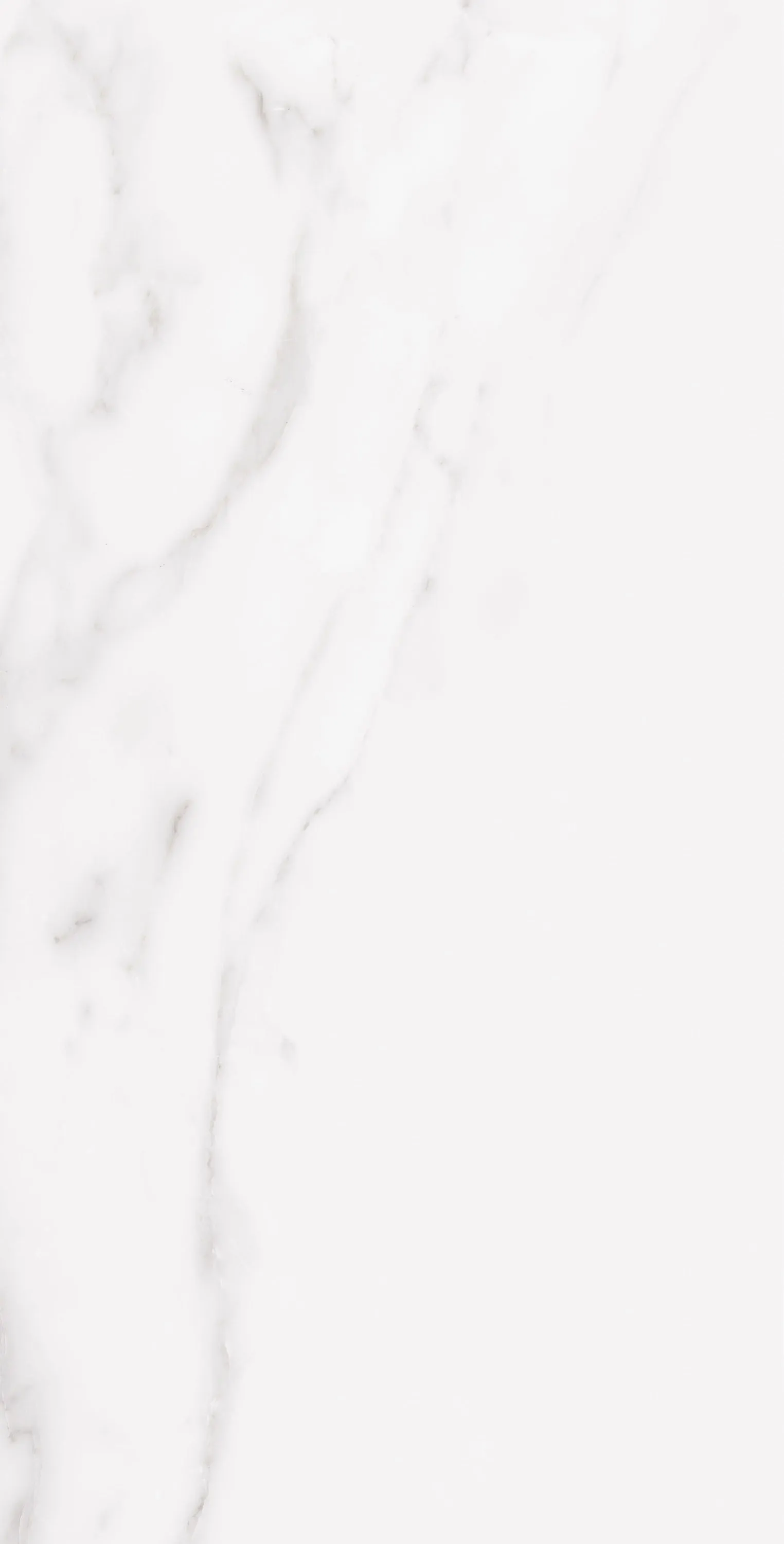 PL36-ST01