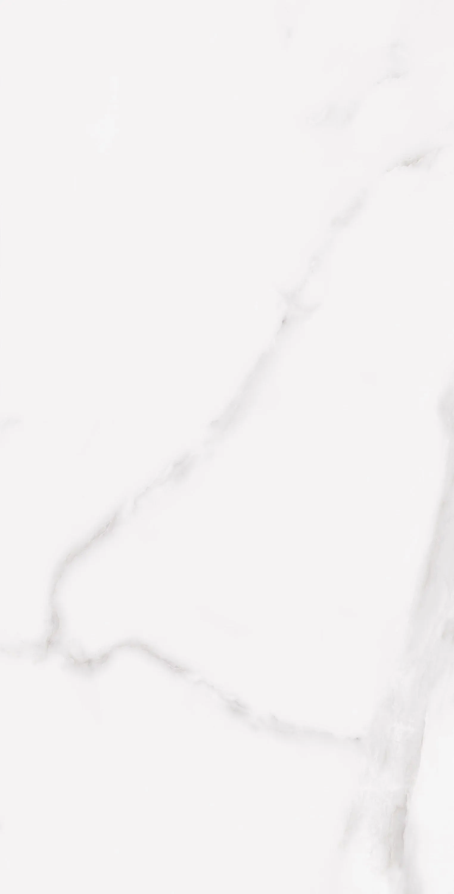PL36-ST01