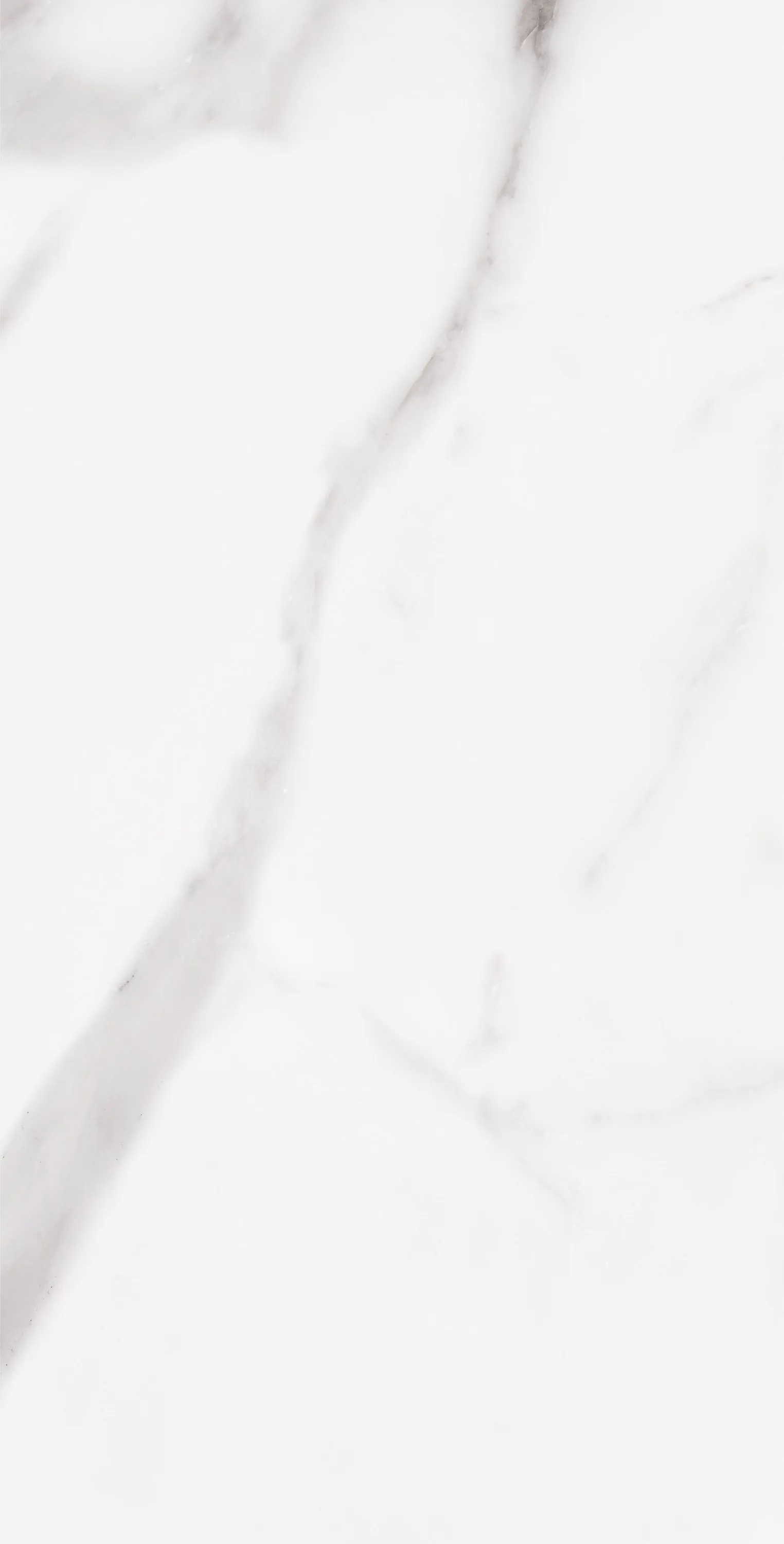 PL36-ST01