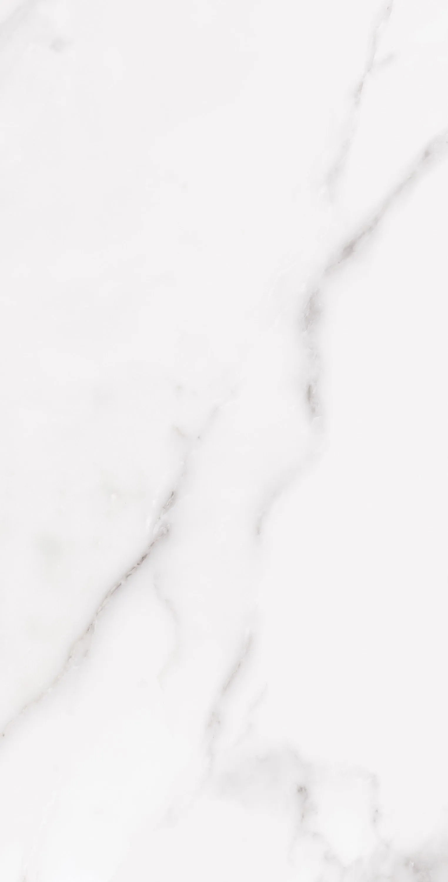 PL36-ST01