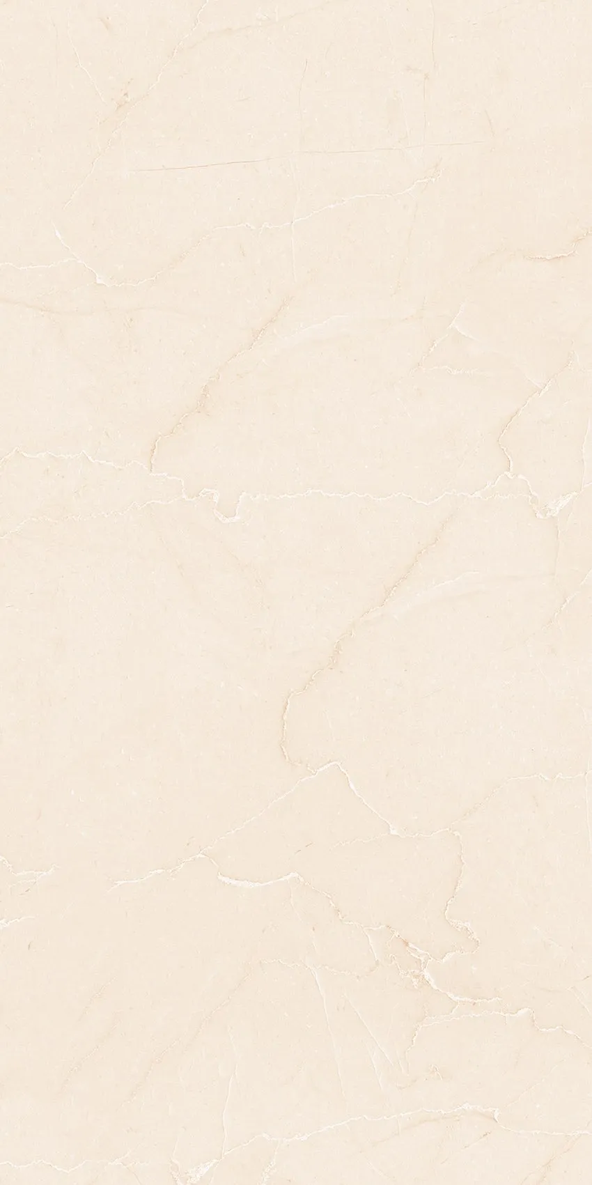 PL36-ST02