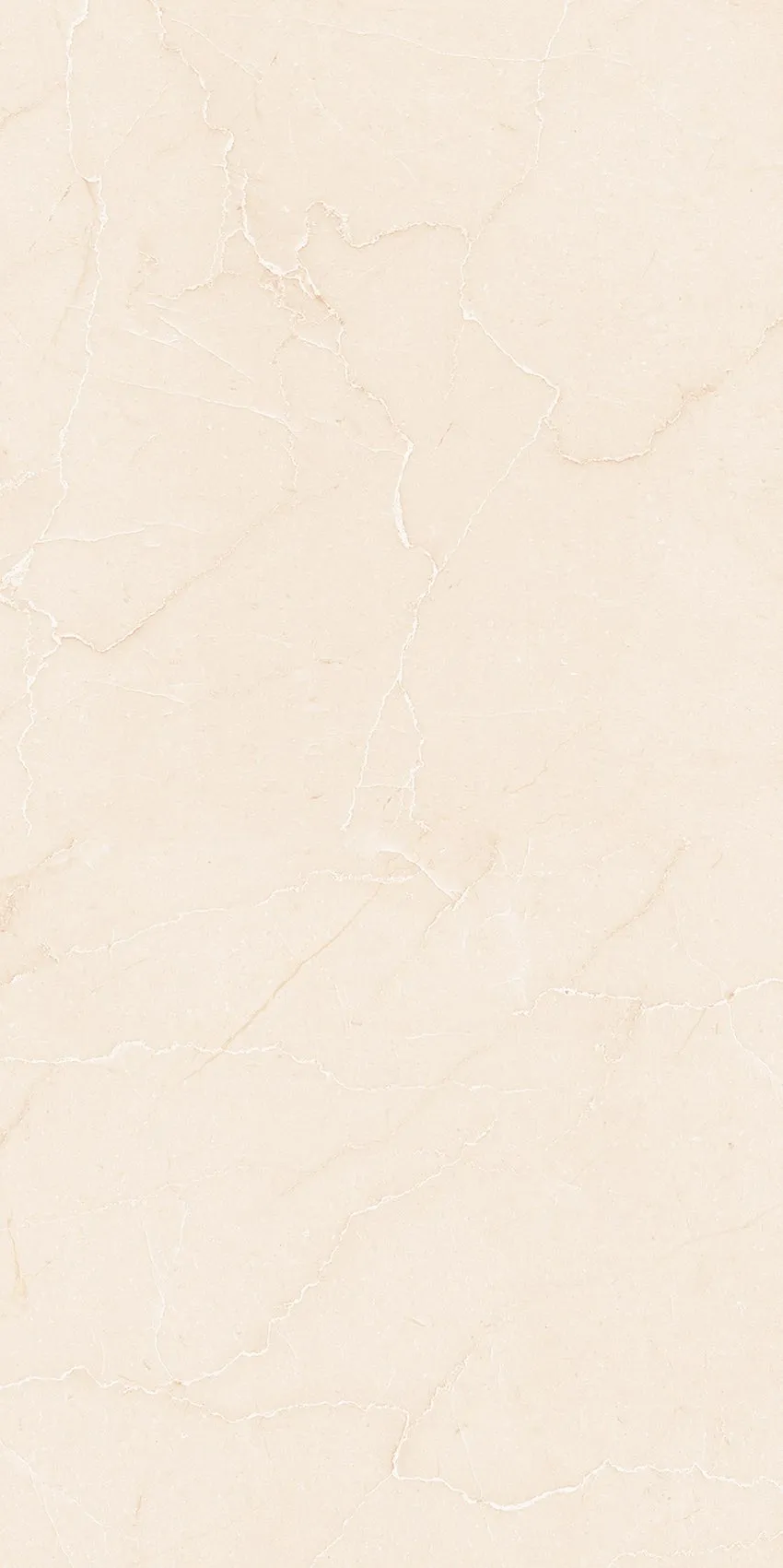 PL36-ST02