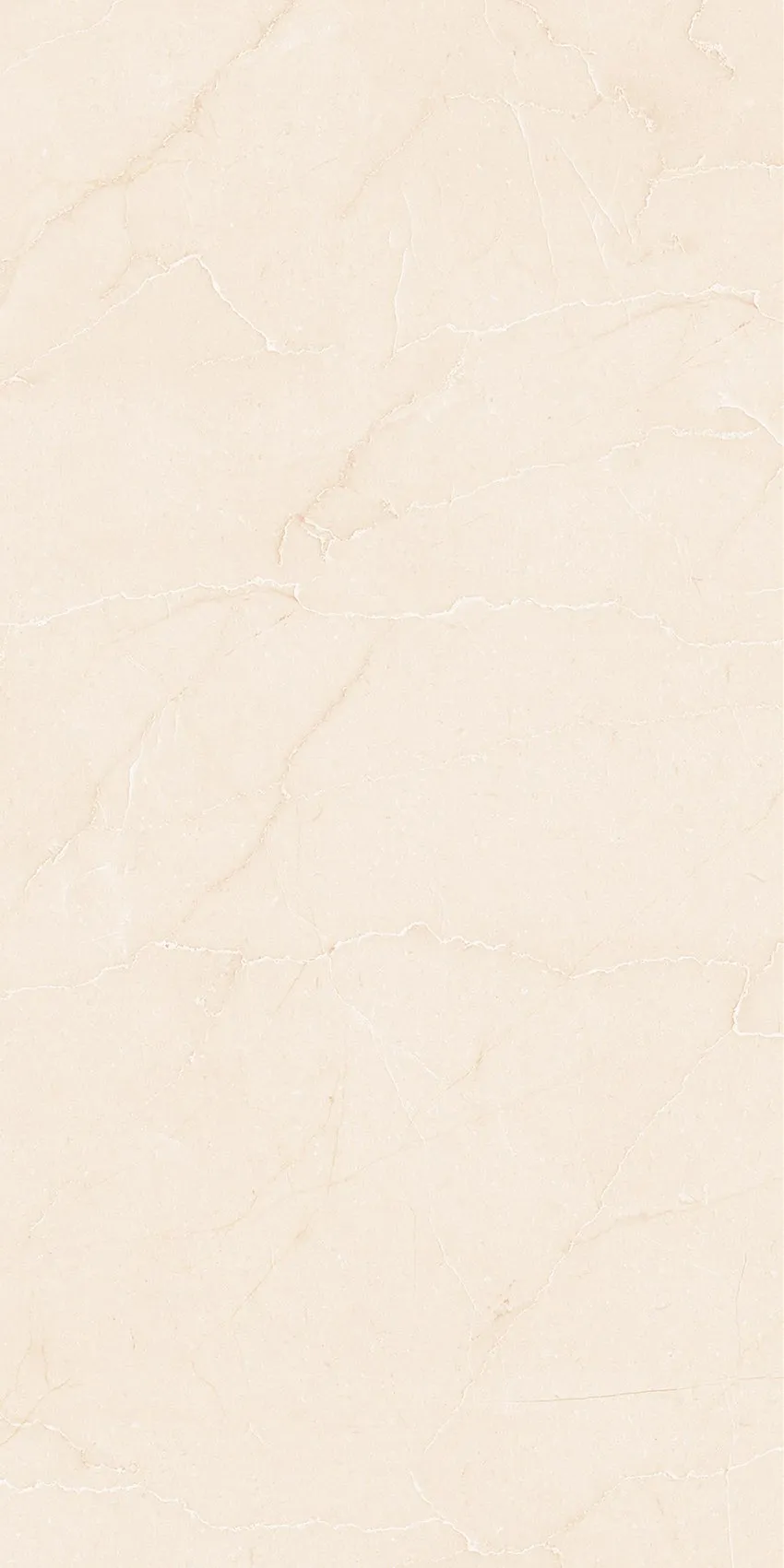 PL36-ST02