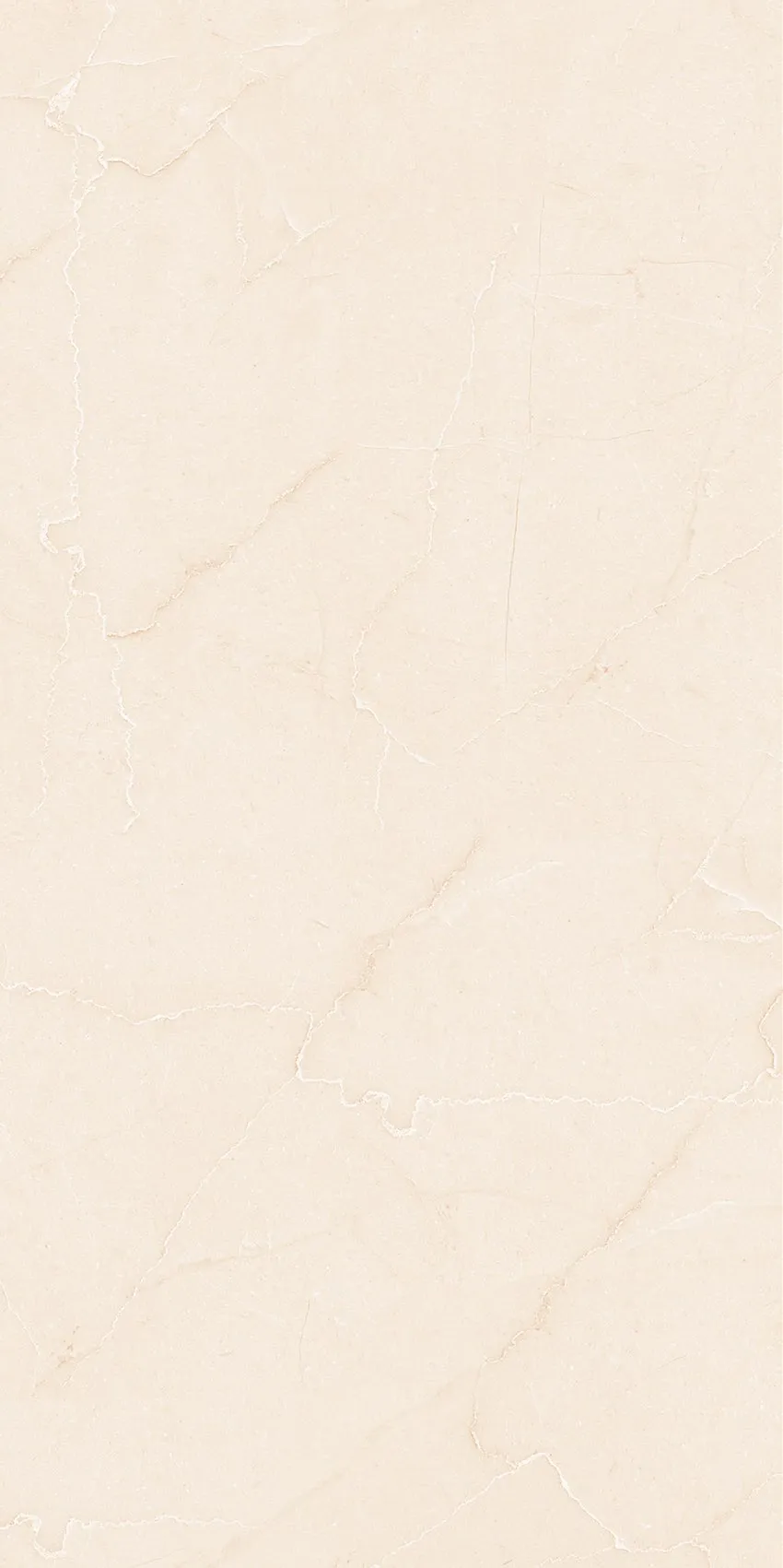 PL36-ST02