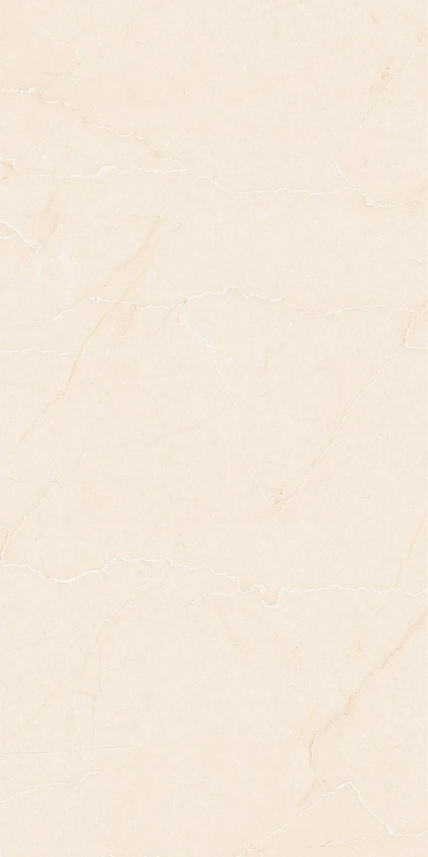 PL36-ST02