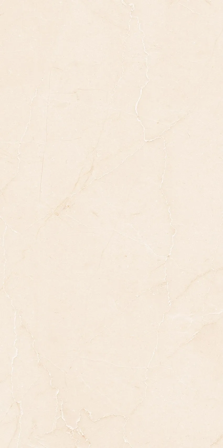 PL36-ST02