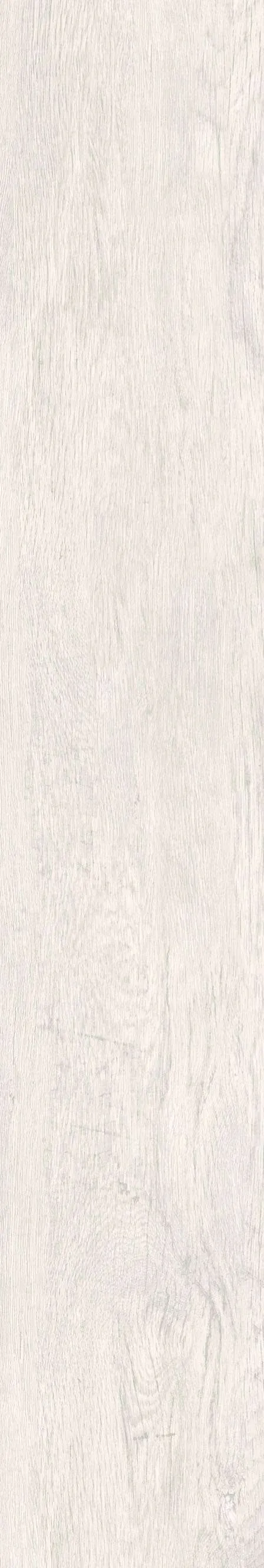 PT-21203-T1