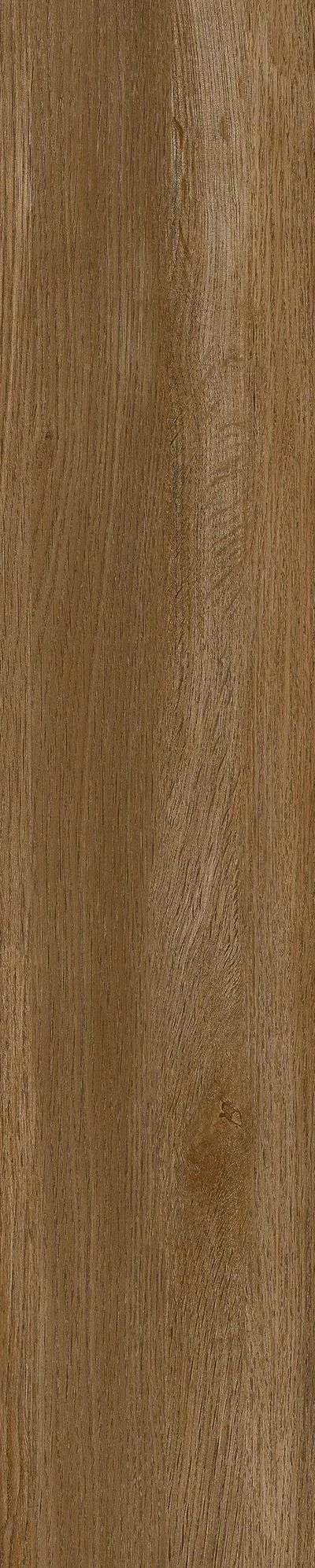 SH-GK21003