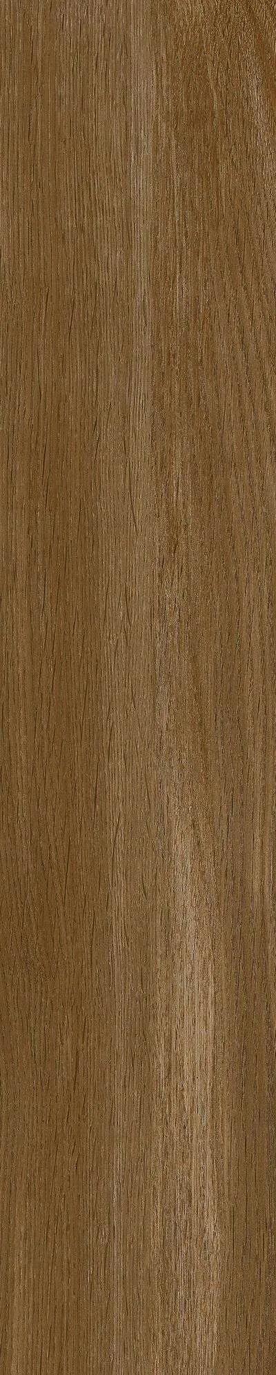 SH-GK21003