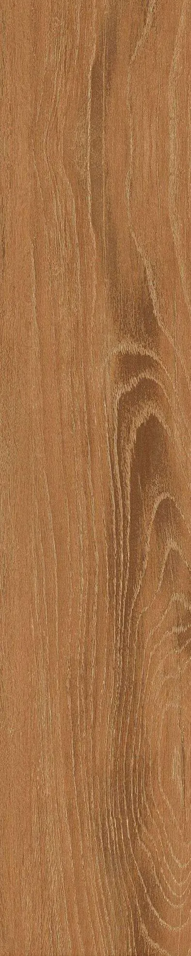 SH-GK21005