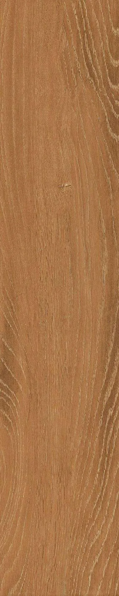 SH-GK21005