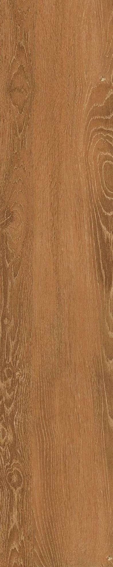SH-GK21005
