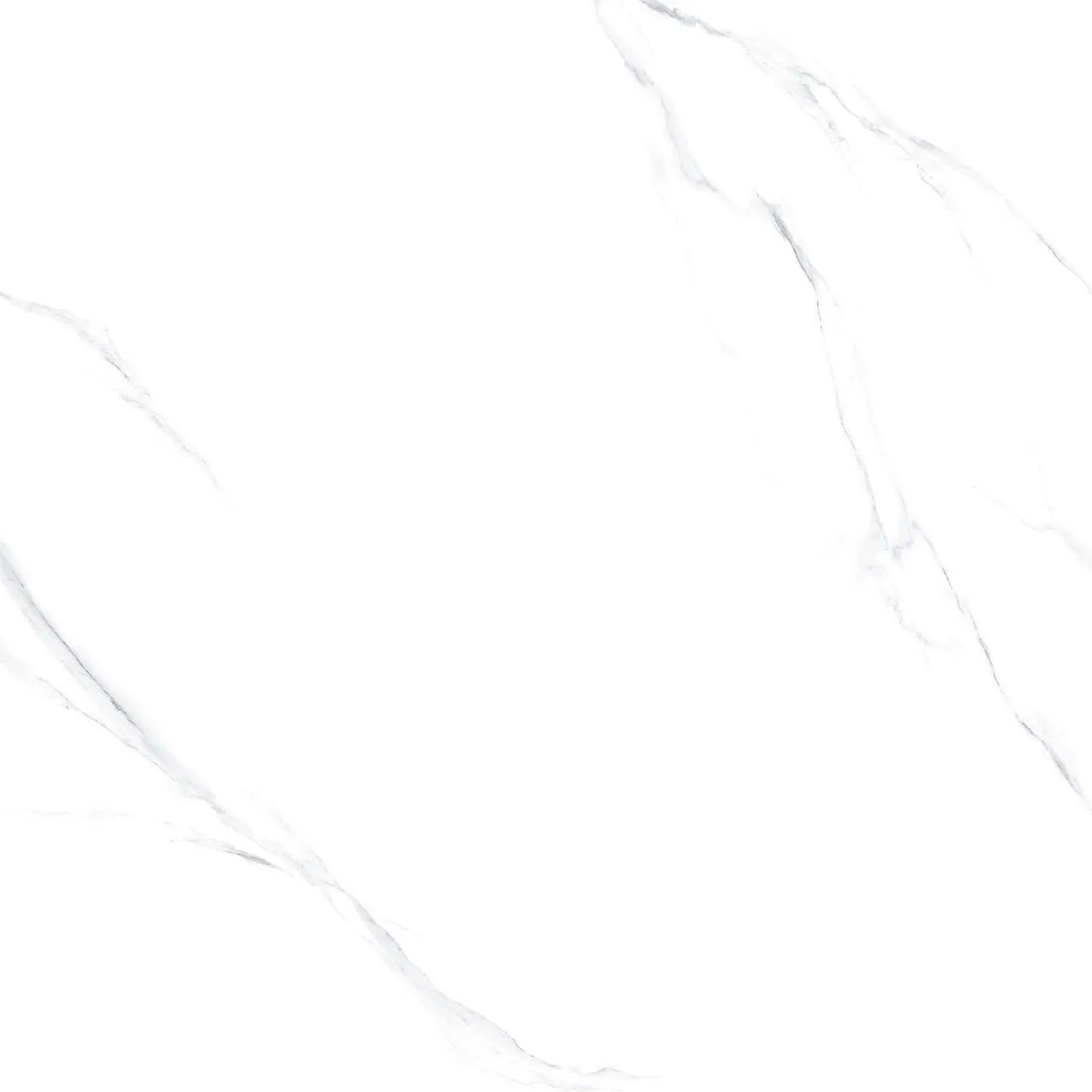 SH1-P121201