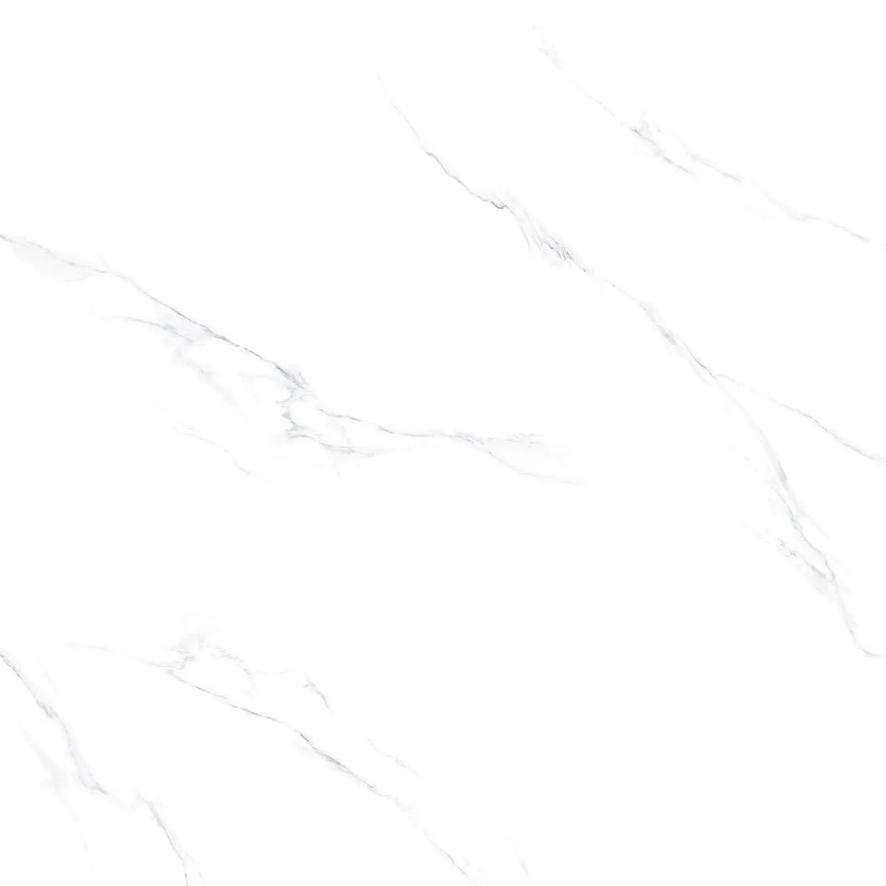 SH1-P121201