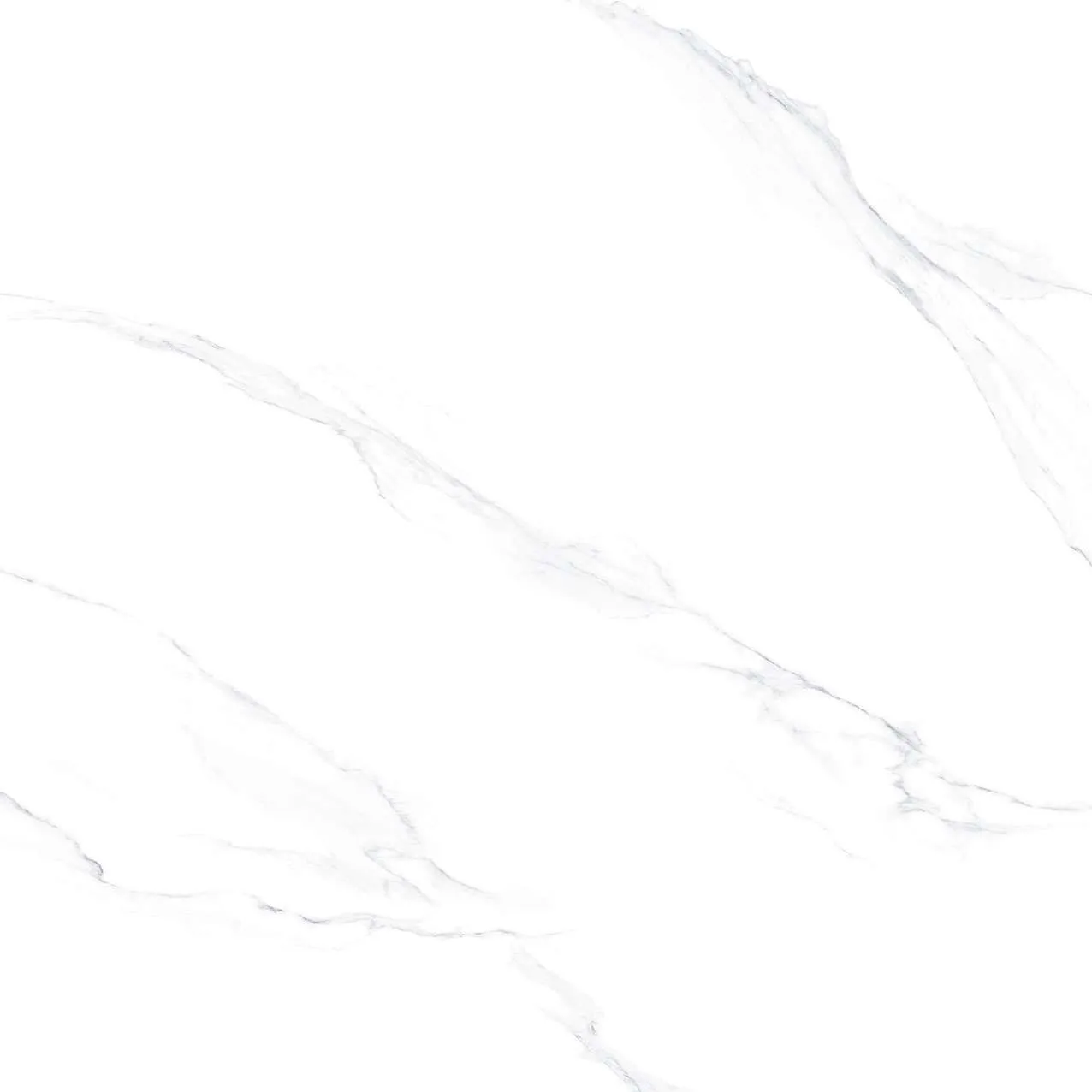 SH1-P121201