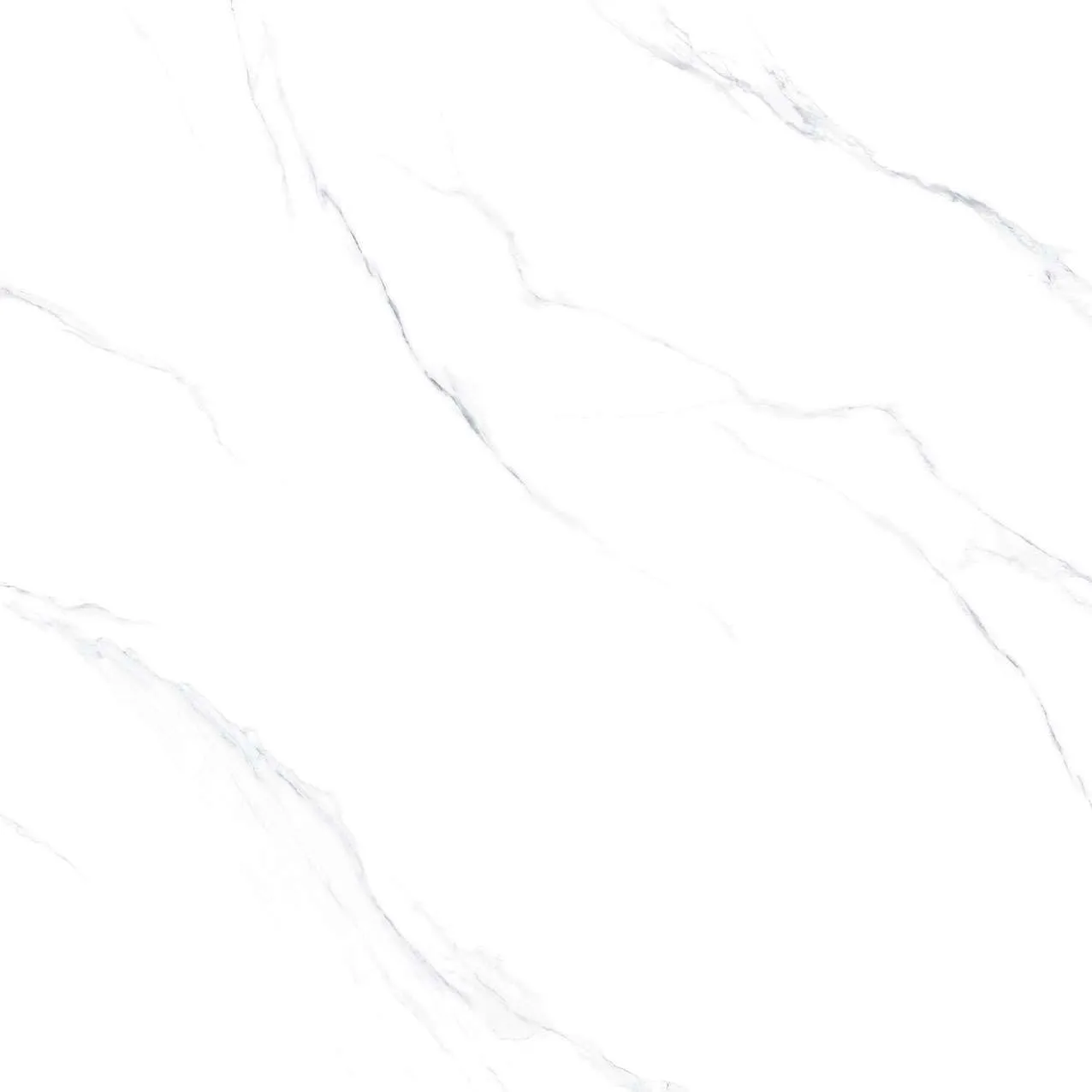 SH1-P121201