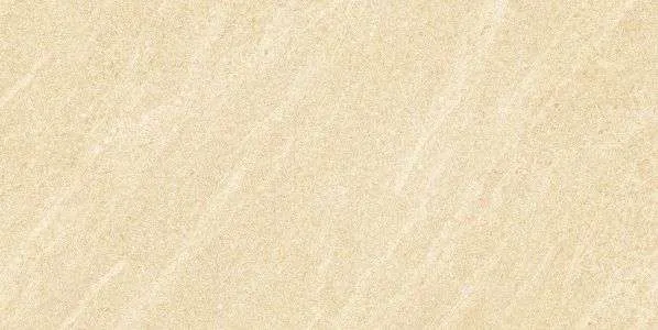 SH-BS3602