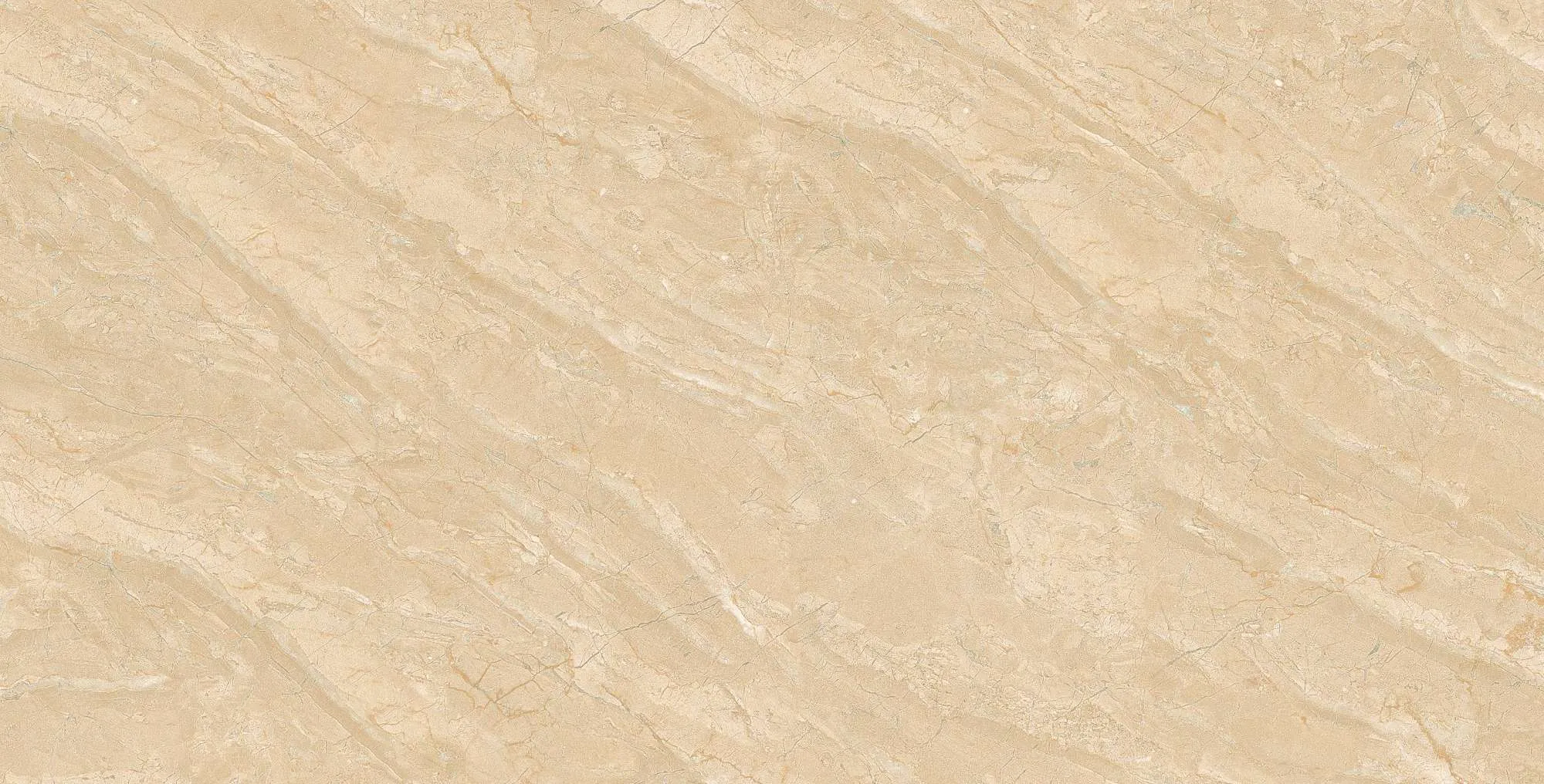 SH-CE3612