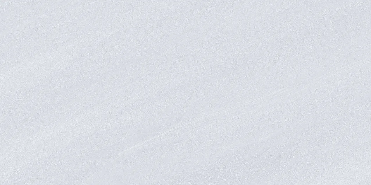 SH2-GM4801