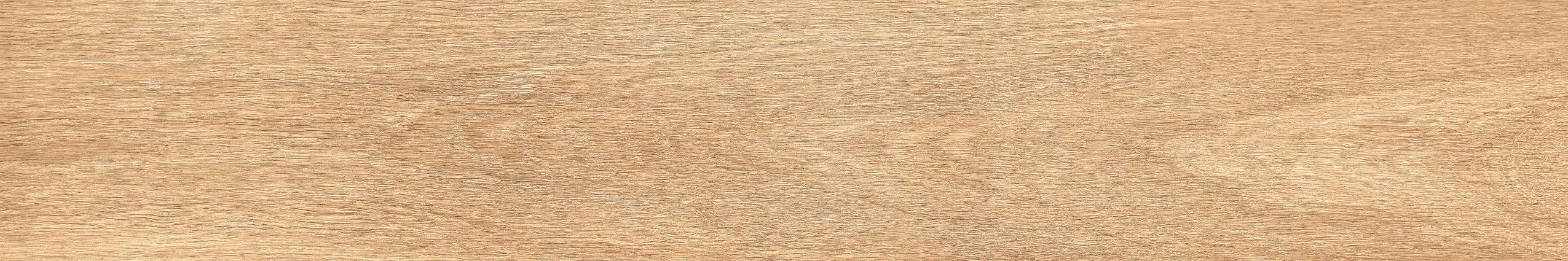 AZ12 GK15903