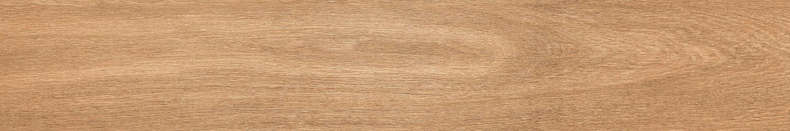 AZ12 GK15904