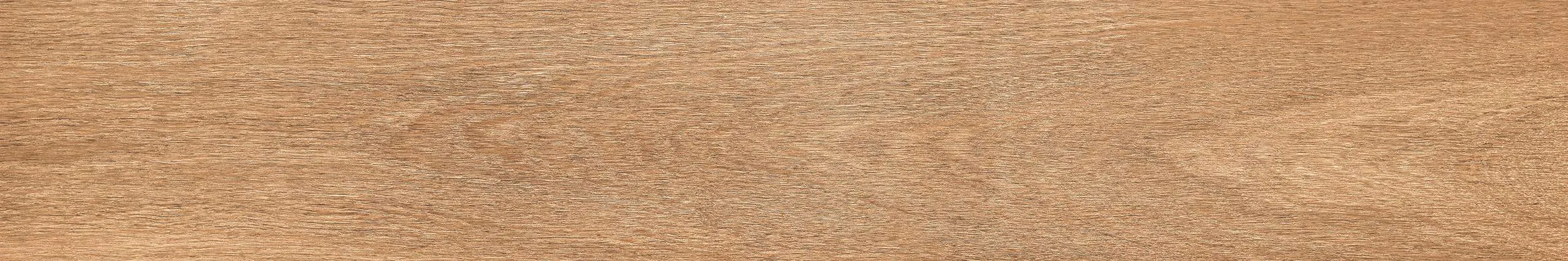 AZ12 GK15904