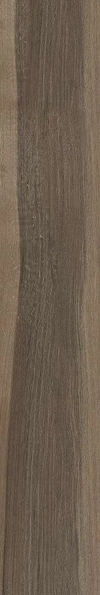AZ14 GC15901