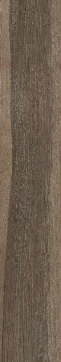 AZ14 GC15901